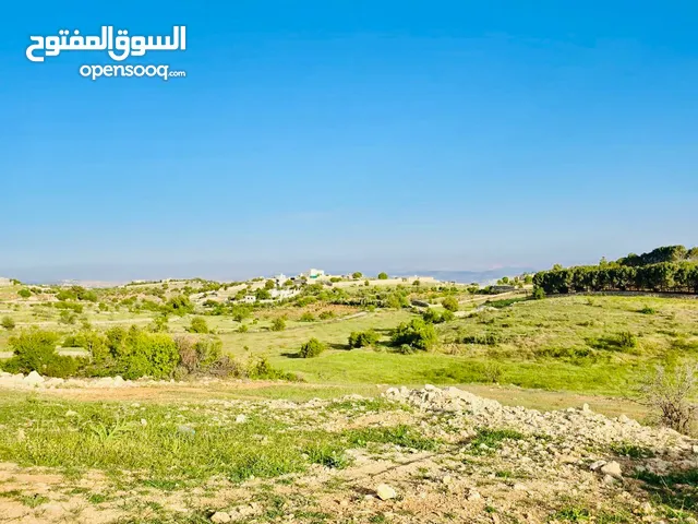 ارض 4 دونم سوف وسط السهلات  قرب قصر سفير الامارتييه