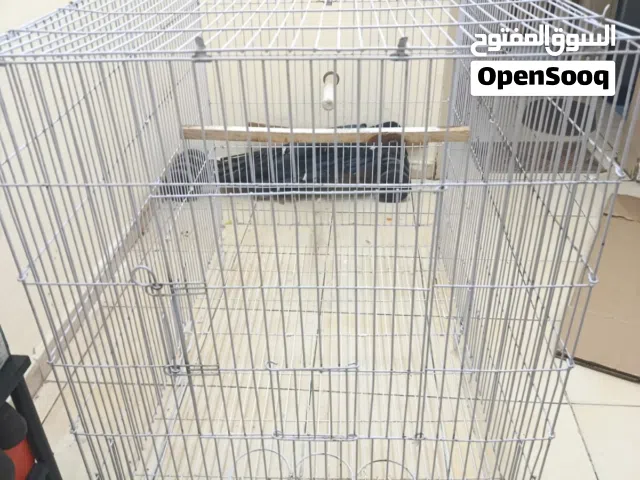 Cage For Medium Size Birds