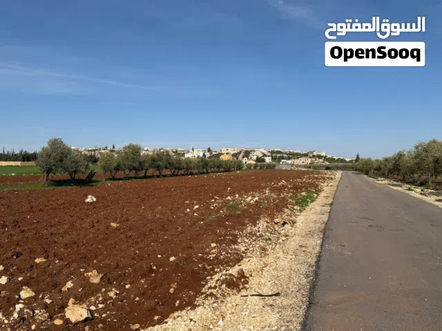 ارض في ناعور على طريق مادبا الغربي بالقرب من جسر الدخان  ومرج الحمام وطريق المطار سكن أ