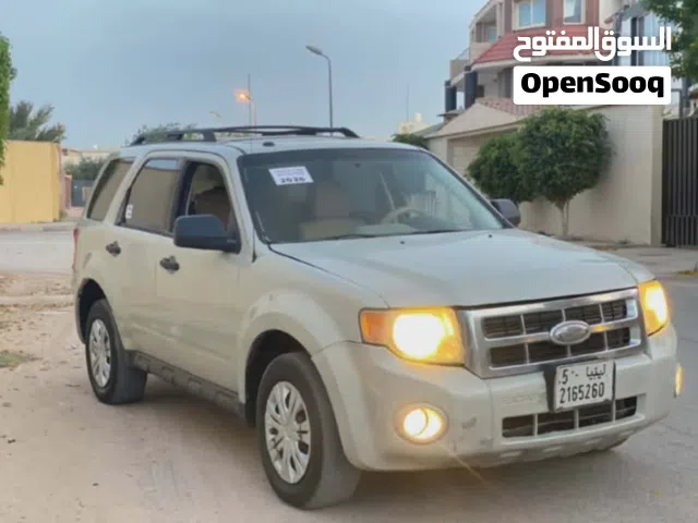 2010 Ford Escape Limited