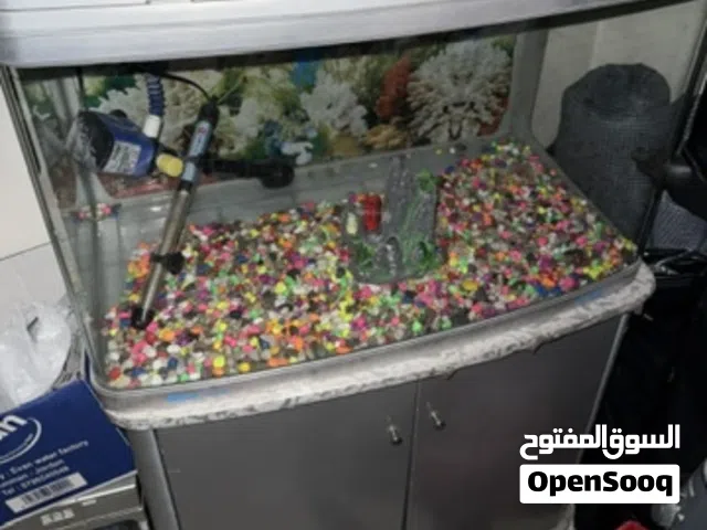 حوض سمك JEBO