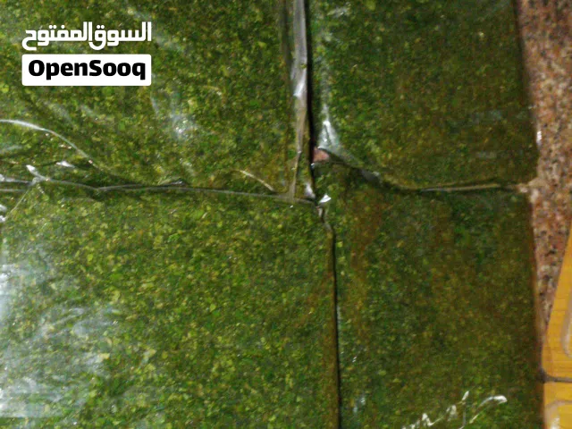 ملوخيه للتواصل مفروم جاهز. الكيلو 2.50