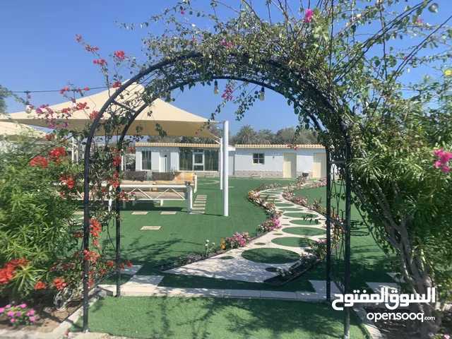 5 Bedrooms Chalet for Rent in Fujairah Other
