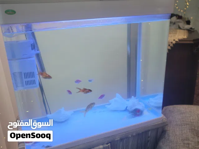 حوض سمك للبيع