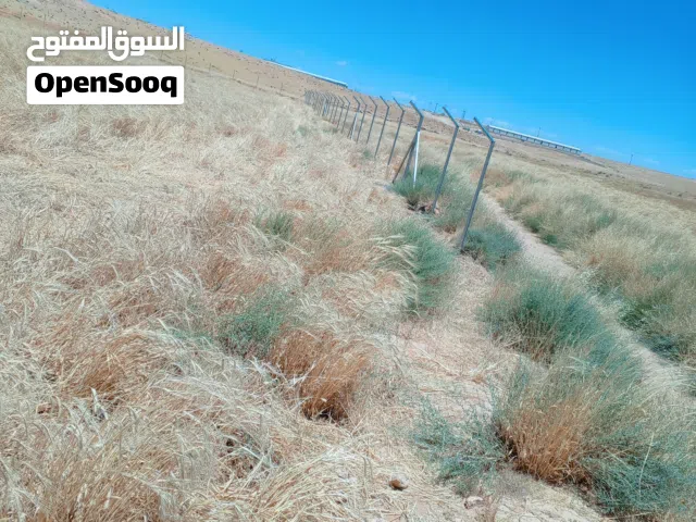 تشييك مزارع
