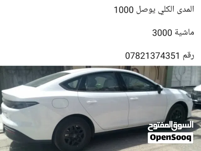 2025 بي واي دي سيل
