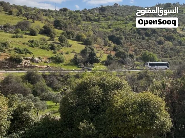 Farm Land for Sale in Ajloun Sakhra