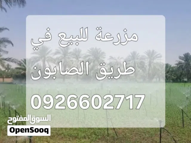 Farm Land for Sale in Al Khums Other