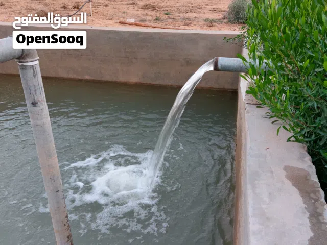 مزرعه هكتار ونص جنوب مدينة الزاويه