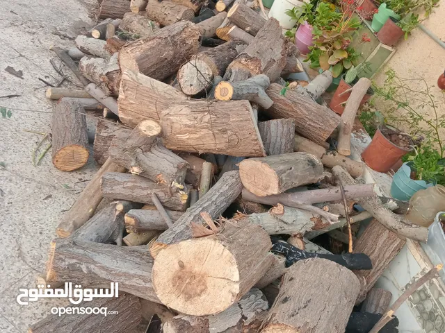 حطب زيتون وكينا للبيع