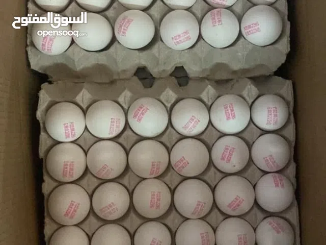 دجاج بلدي وبيض بلدي ورمي وسمان وبط باسعار مميزه