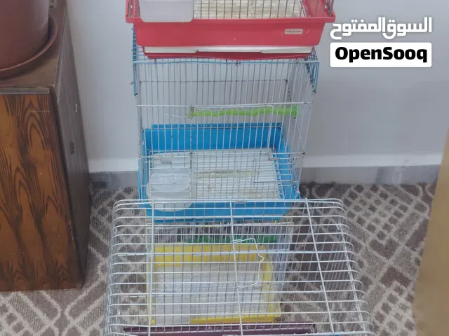 قفاص مفرد بحال الوكاله