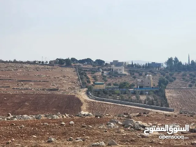 Farm Land for Sale in Jerash Other