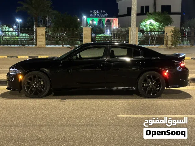 دوج جاجر للبيع 2023