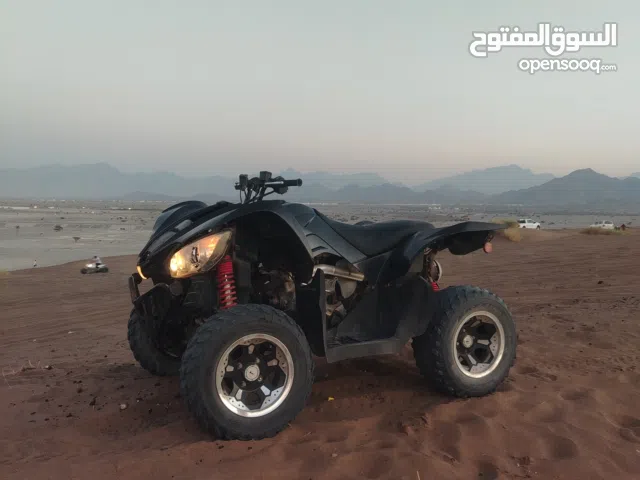 Arctic Cat 2014 X 450 4×4