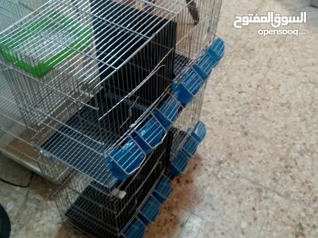 سلاكة 4 دوار جديدة كاملة با وكالات وشربات