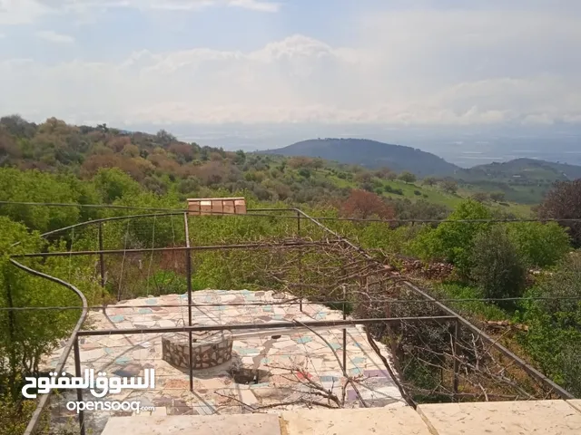 3 Bedrooms Farms for Sale in Irbid Bayt Idis