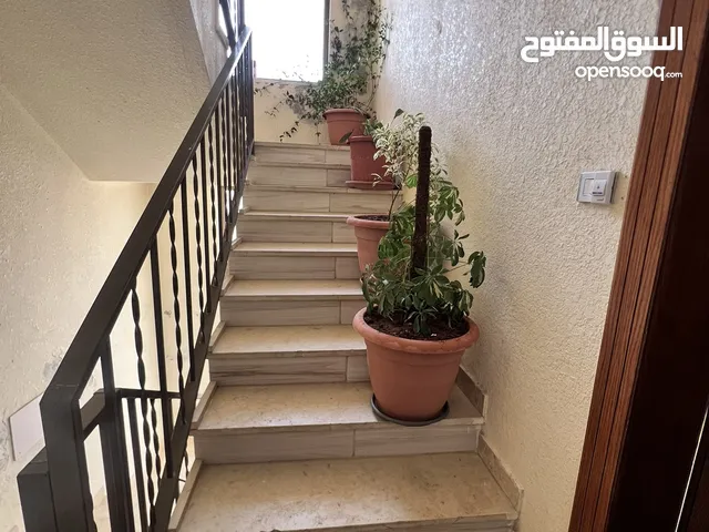 روف مفروش للايجار