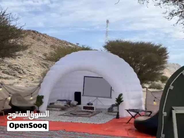 مشروع جميل وفيه دخل