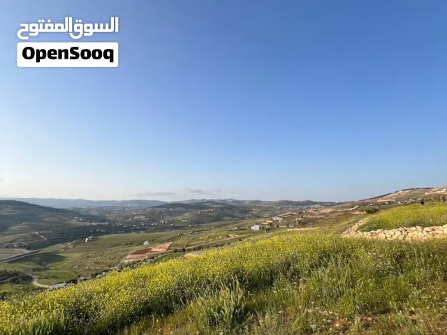 Mixed Use Land for Sale in Jerash Unaybah