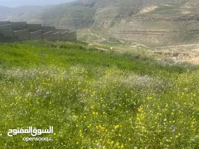 3.400 ماحص بعد الميده