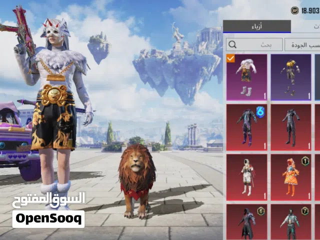 Pubg Accounts and Characters for Sale in Lahij