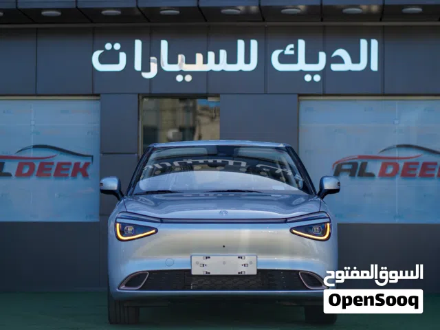 2025, Dongfeng, Nammi Box