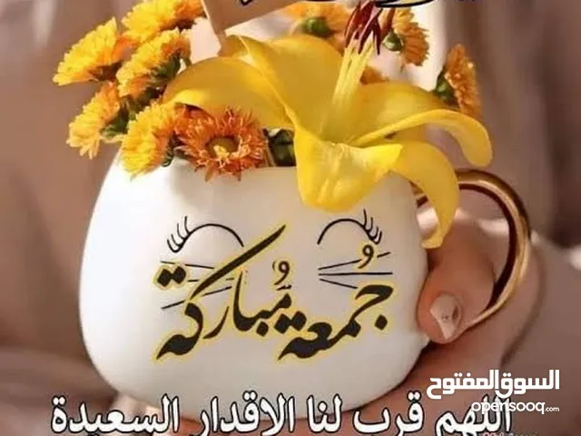 محتاج مستثمر راقي لمشروع كبير