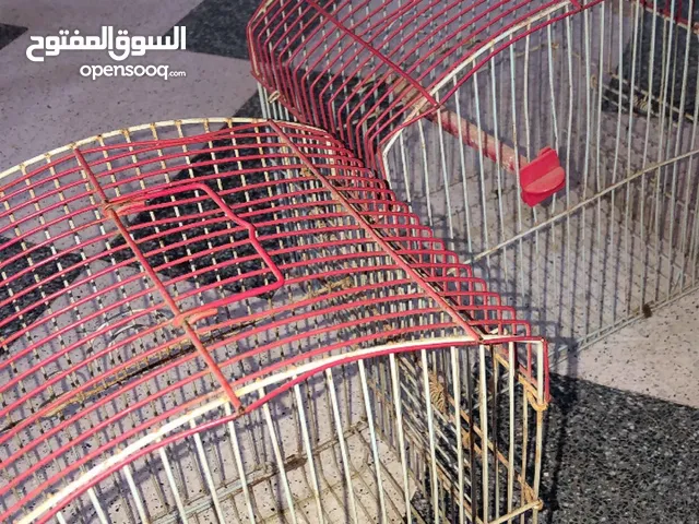 قفوص عصافير للبيع