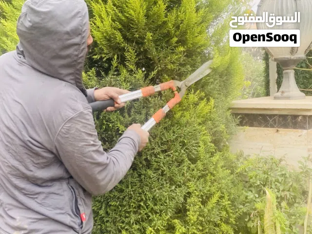 قص وتقليم الاشجار حصد العشب نقل مخلفات تنسيق الحدائق