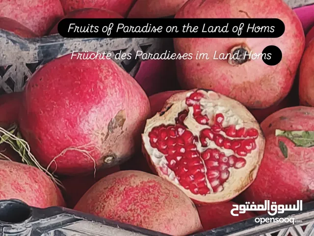 جميع انواع الفواكه والخضار ضمن حمص توصيل إلى منازلكم