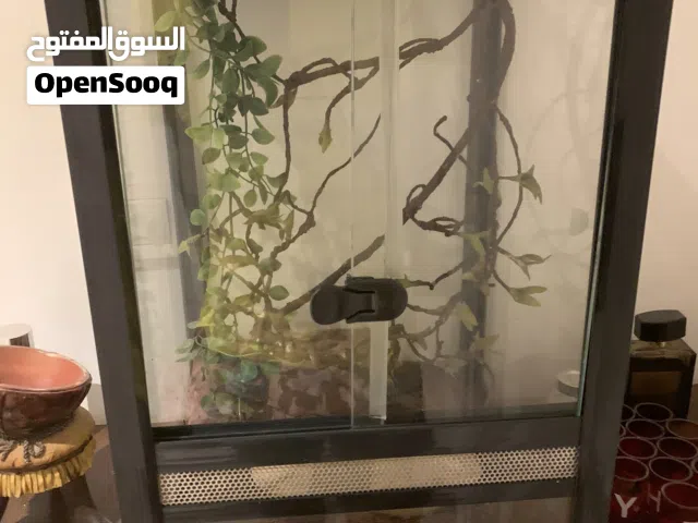 للبيع حوض زواحف