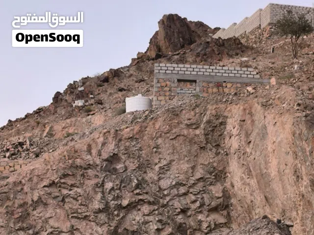 ارض للبيع 12×12 الموقع الديس الغويزي شعب بني هاشم