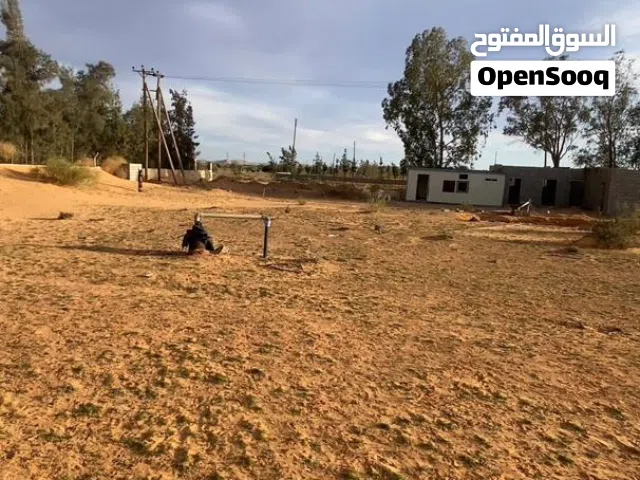 ارض للبيع 10 هكترات