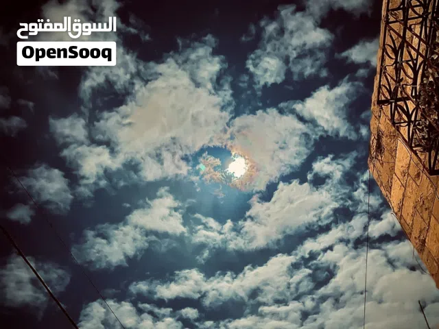 انس طارق الكركي