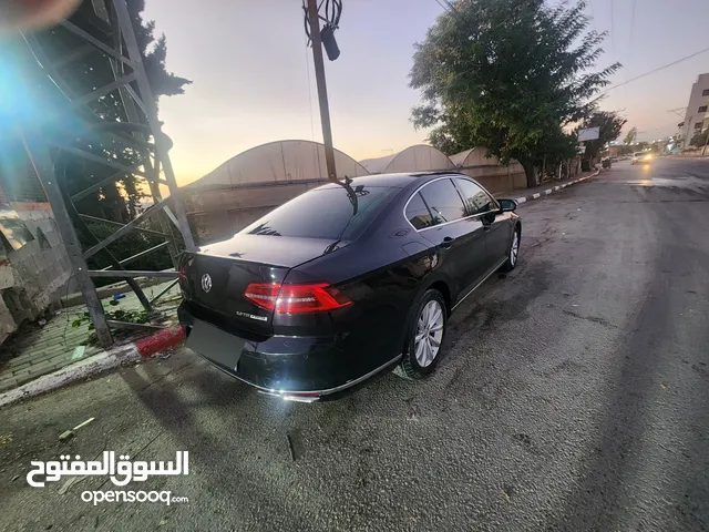 باسات فل الفل الفل