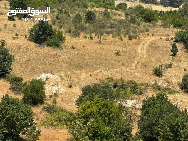 Farm Land for Sale in Balıkesir Altıeylül