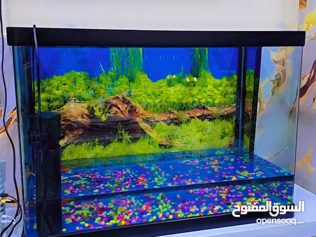 حوض اسماك زجاجي fish tank big size