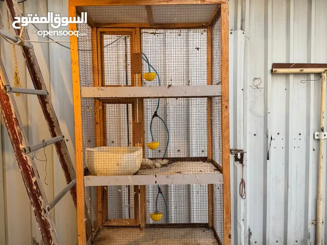 اقفاص كبيره للبيع بحاله ممتازه