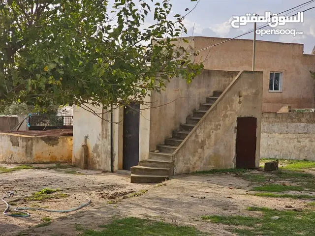 اكتر من نصف هكتار مثمرة بالحمامات