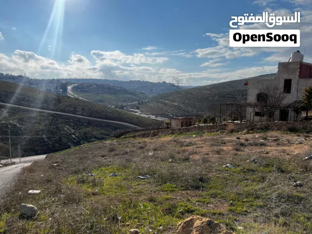 Residential Land for Sale in Zarqa Um Rummanah
