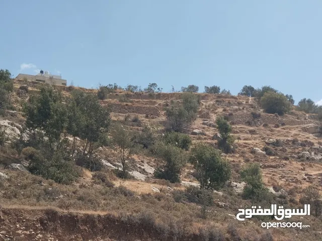ارض مطلة ع راس جبل .بعد عقبة تفوح