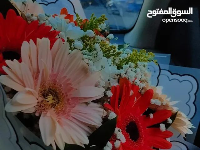 Jinan ajlouni
