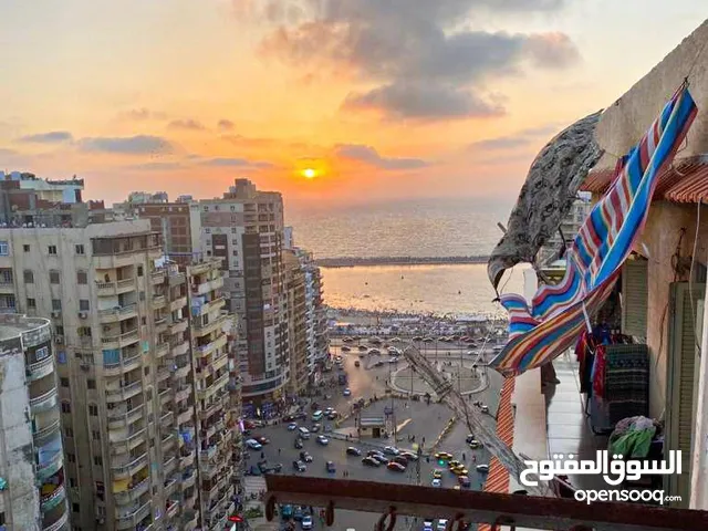 ش محمد نجيب سيدي بشر