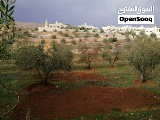 Farm Land for Sale in Amman Shafa Badran