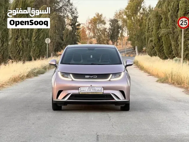 2022 بي واي دي دولفين