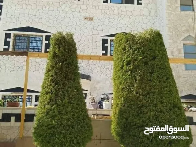 تركيب شحف وديكورات