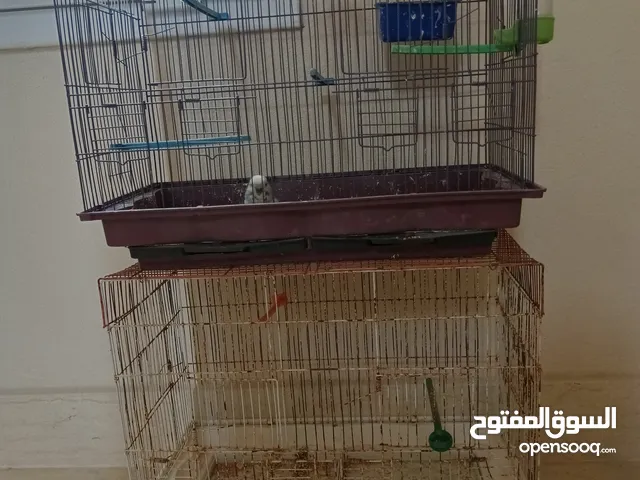 عدد 2قفص حضان واحد طلياني واحد مصري