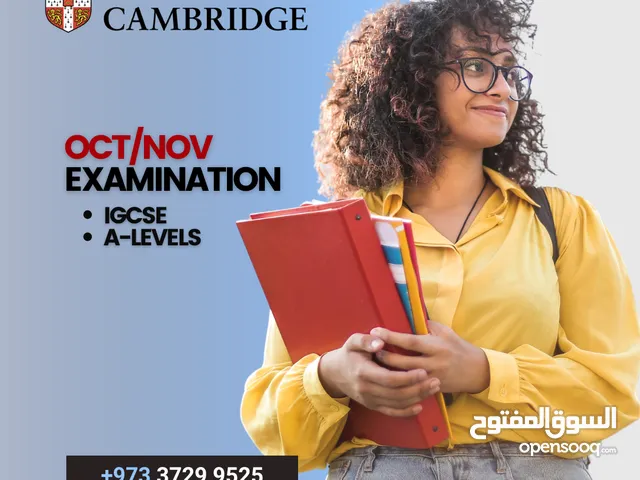 British & American Private Tutoring Academy