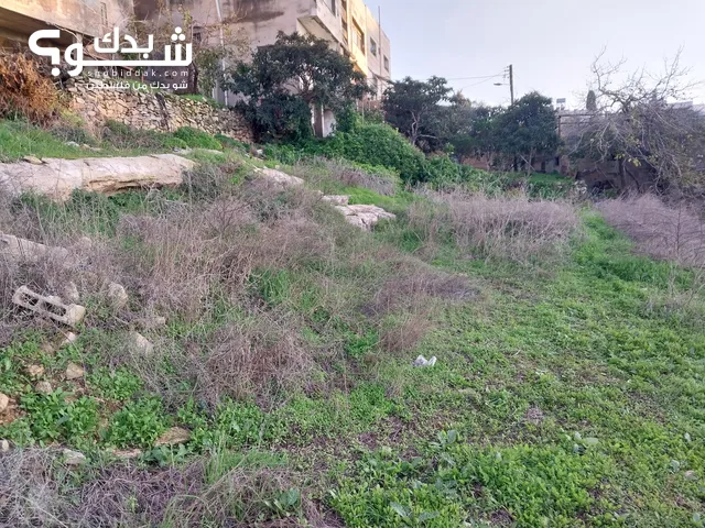 Residential Land for Sale in Nablus Asira Ash-Shamaliya